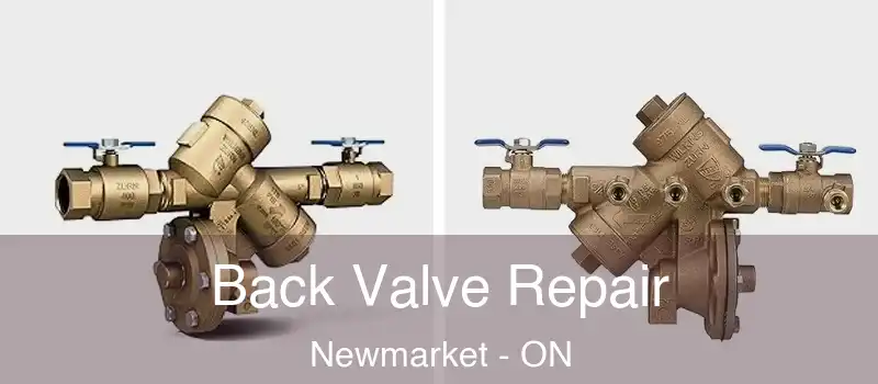  Back Valve Repair Newmarket - ON