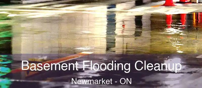 Basement Flooding Cleanup Newmarket - ON