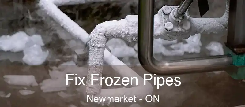 Fix Frozen Pipes Newmarket - ON