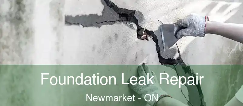  Foundation Leak Repair Newmarket - ON