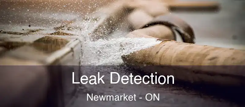  Leak Detection Newmarket - ON
