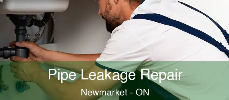 Pipe Leakage Repair Newmarket - ON