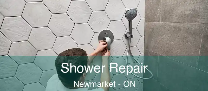  Shower Repair Newmarket - ON