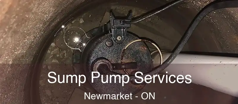  Sump Pump Services Newmarket - ON