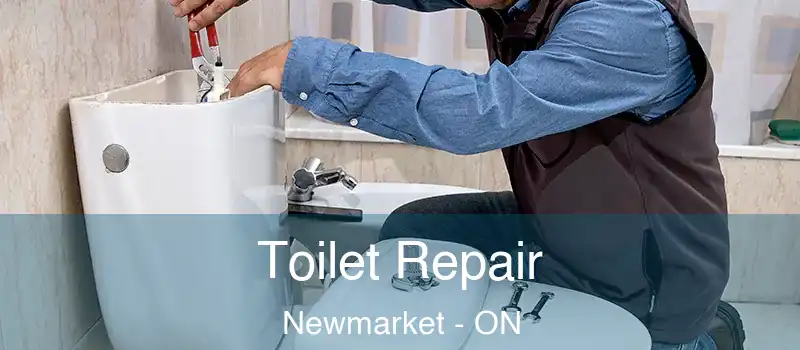  Toilet Repair Newmarket - ON
