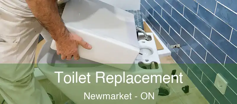 Toilet Replacement Newmarket - ON