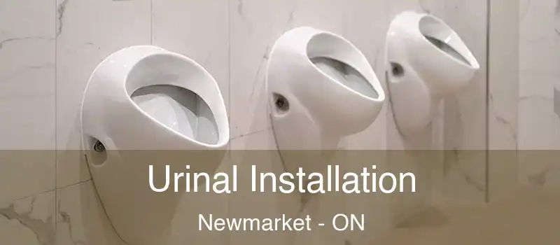  Urinal Installation Newmarket - ON