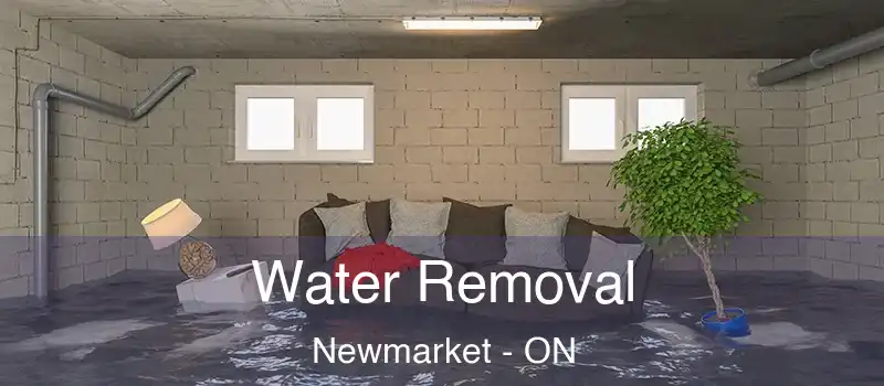  Water Removal Newmarket - ON